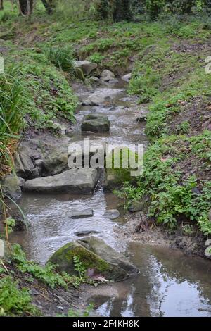 Fließendes Wasser entlang EINES Baches in EINEM Woodland Park - Moos On Stones - Grüne Pflanzen, Die Neben Dem Bach Wachsen - Fluss mit fließendem Wasser - Sussex UK Stockfoto