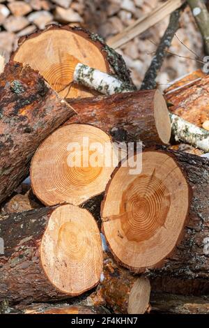 Stapel oder Stapel aus Blöcken, Stücken oder Holzstämmen im Winter oder Frühjahr. Stapelholz zum Trocknen und Lagern, Nahaufnahme, vertikal Stockfoto