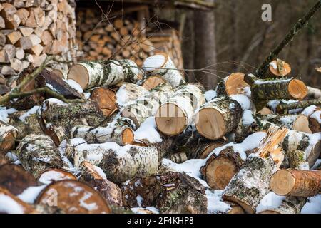 Stapel oder Stapel aus Blöcken, Stücken oder Holzstämmen im Winter oder Frühjahr mit Schnee. Stapelholz zum Trocknen und Lagern Stockfoto