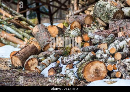 Stapel oder Stapel aus Blöcken, Stücken oder Holzstämmen im Winter oder Frühjahr mit Schnee. Stapelholz zum Trocknen und Lagern Stockfoto