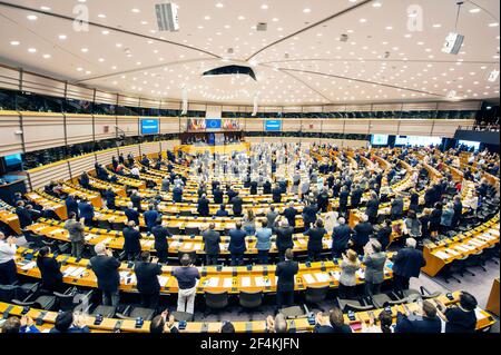 Brüssel, Belgien Europarl des Europäischen Parlaments während der Rede des niederländischen Königs Willem-Alexander. Stockfoto