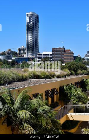 Sydney, NSW, Australien - 30. Oktober 2017: Wohngebäude mit überwachsenem Dach und Horizon-Apartmentgebäude im Hintergrund Stockfoto