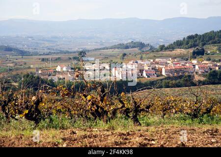 SPANIEN - Alt Penedés (Bezirk) - Katalonien - Barcelona. Sant Pau d' Ordal; vista / viñedos Stockfoto