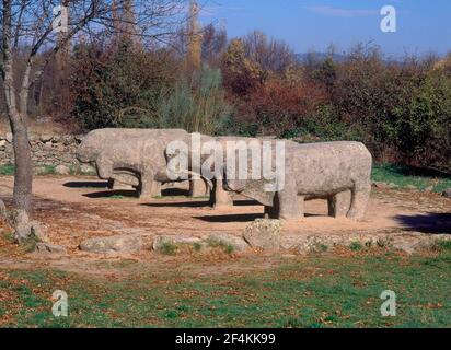 TOROS DE GUISANDO - VERRACOS DE VETTONES- ESCULTURA EN PIEDRA - S III/II AC. LAGE: CERRO DE GUISANDO. EL TIEMBLO. AVILA. SPANIEN. Stockfoto