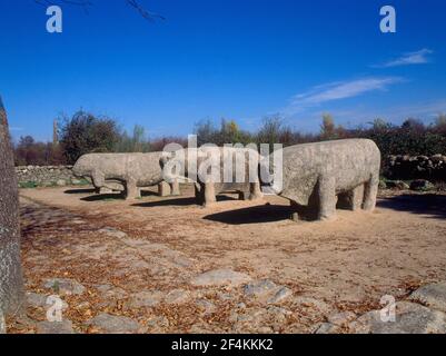 TOROS DE GUISANDO - VERRACOS DE VETTONES- ESCULTURA EN PIEDRA - S III/II AC. LAGE: CERRO DE GUISANDO. EL TIEMBLO. AVILA. SPANIEN. Stockfoto