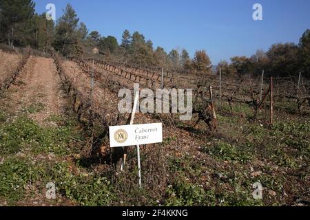 SPANIEN - Bagés (Bezirk) - Katalonien - Barcelona. Avinyó; viñedos de la D.O. Bages cerca de la Masía / Bodegas la Roqueta (D.O. PLA de Bages) Stockfoto