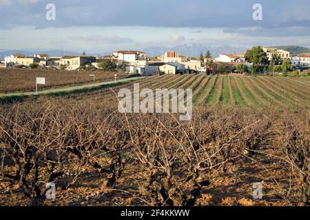 SPANIEN - Alt Penedés (Bezirk) - Katalonien - Barcelona. Aviyonet del Penedés; vista del Pueblo y viñedos Stockfoto