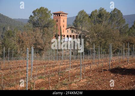 SPANIEN - Bagés (Bezirk) - Katalonien - Barcelona. Avinyó; viñedos y Masía / Museo la Roqueta (D.O. PLA de Bages) Stockfoto