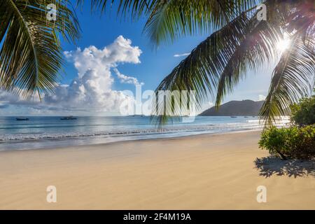 Tropischer sonniger Strand bei Sonnenaufgang in Paradise Island Stockfoto