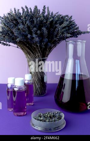 Ätherisches Lavendelöl für Stressabbau, Schlaf und Entspannung. Abstraktes Chemielabor mit Glaskolben, Petrischale und getrockneten Lavendelblüten. Stockfoto