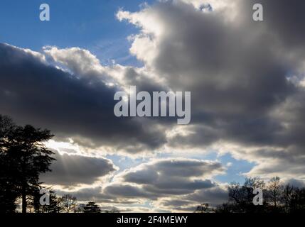 Dunkle Wolken mit weißem Rand an einem blauen Himmel mit Baumsilhouetten im Nachmittagswinterlicht im RHS Garden, Wisley, Surrey, Südostengland Stockfoto