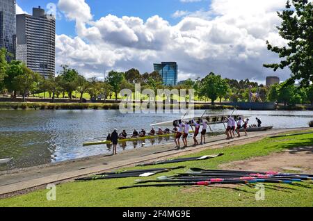 Melbourne, VIC, Australien - 04. November 2017: Nicht identifizierte Ruderer durch Training auf Yarra River und Skulptur namens Angel von Deborah Halpern in backgrou Stockfoto