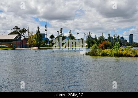 Australien, Albert Park Lake in Melbourne Stockfoto