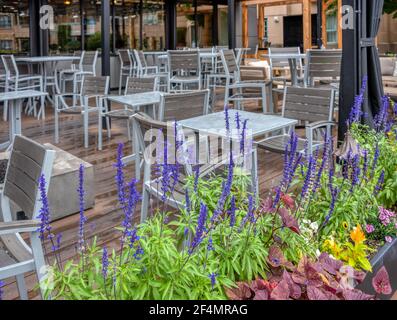 Dekorative Lavendelblüten im leeren Straßencafé an regnerischen Tagen Stockfoto