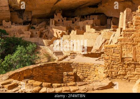 Cliff Palace Höhlenwohnung, Mesa Verde Nationalpark, Colorado, Vereinigte Staaten von Amerika (USA). Stockfoto