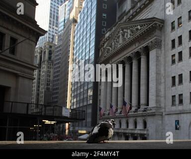 New York, Usa. März 2021, 22nd. Vor der Eröffnungsglocke an der NYSE an der Wall Street in New York City am Montag, den 22. März 2021, hängt kein Banner am Eingang der New Yorker Börse. Die Wall Street erholte sich im frühen Trading wieder, als sie versuchte, sich von den Verlusten der letzten Wochen zu erholen. Foto von John Angelillo/UPI Kredit: UPI/Alamy Live Nachrichten Stockfoto