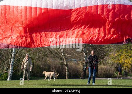 Ein Hundespaziergänger sieht sich als Gleitschirmflieger an, den Karen im Brockwell Park im Süden Londons praktiziert, während die Menschen das warme Frühlingswetter genießen. Bilddatum: Montag, 22. März 2021. Stockfoto