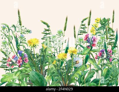 Panoramablick auf wilde Wiesenblumen und Gras. Horizontale Grenze mit Feldblumen und Kräutern. Aquarelldarstellung isoliert auf gelbem Hintergrund Stockfoto