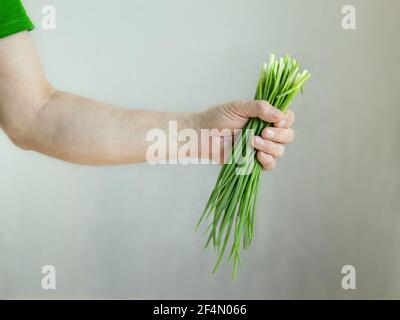 Der Mensch hält ein Bündel grüner Zwiebelfedern in der Hand. Stockfoto