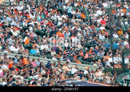 Hunderte von Baseballfans auf den Tribünen eines Spiels der Detroit Tigers im Comerica Park in Detroit, Michigan Stockfoto