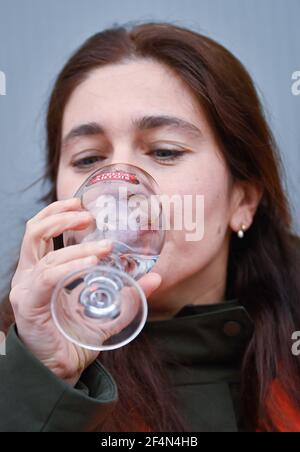 ACHTUNG REDAKTEURE - BELGA VON ab INBEV um BERICHTERSTATTUNG gebeten - NUR REDAKTIONELLE VERWENDUNG - Flämischer Minister für Umwelt, Energie, Tourismus und Justiz Zuhal Stockfoto