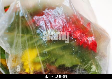 UNSCHÄRFE-EFFEKTE. Kunststoffstruktur. Rote und grüne Pflanzen Blumen in einer Plastiktüte auf weißem Hintergrund. Ein trockener Grashalm ragt heraus. Ökologische Probleme. C Stockfoto