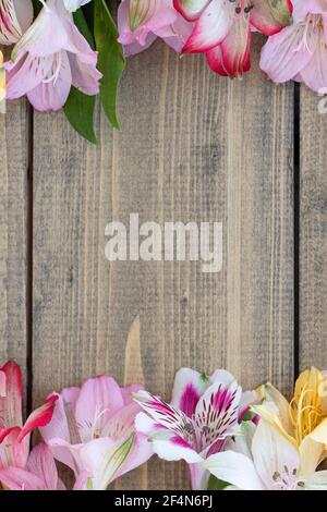 Hintergrund aus bunten Blumen auf Holztisch. Bunte Alstroemerien, rosa, gelb, magenta, weiß und rot Alstroemerien. Stockfoto