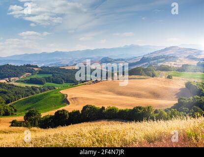 Sanfte Hügel, goldene Wiese und grüne Landschaft in der Toskana, Italien Stockfoto