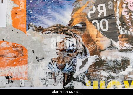 Zirkusposter mit Tiger. Alte Grunge gerissen zerrissen vintage Collage bunt. Straße Plakate knitterten zerknitterten Papier Oberfläche Plakette Textur Hintergrund BA Stockfoto