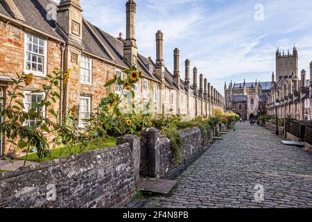 Vicars Close in der Domstadt Wells, Somerset UK - EINE geplante Straße der Mitte des vierzehnten Jahrhunderts. Stockfoto