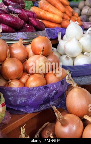 Verschiedene Arten von Zwiebeln, gelb, weiß, rot, werden in Tabletts auf dem Markt verkauft. Stockfoto