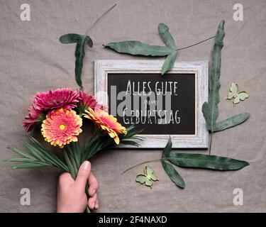 Deutscher Text alles gute zum Geburtstag auf Tafel bedeutet Alles Gute zum Geburtstag. Frühlingshintergrund. Hand halten Bündel von lebendigen Gerbera Blumen, exotisch Stockfoto