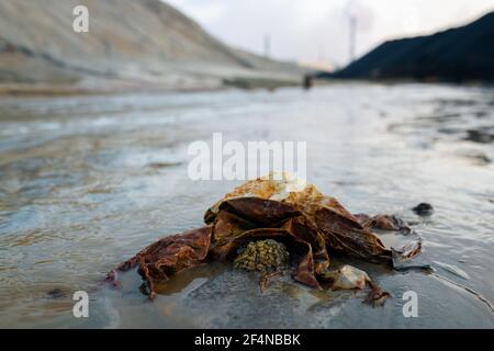 Teil der schmutzigen Straße mit Müll in der großen Pfütze oder Verschmutzter Fluss umgeben von Hügeln und Industriebetrieben Ausschöpfung giftig Dämpfe in gefährlichen Bereichen Stockfoto