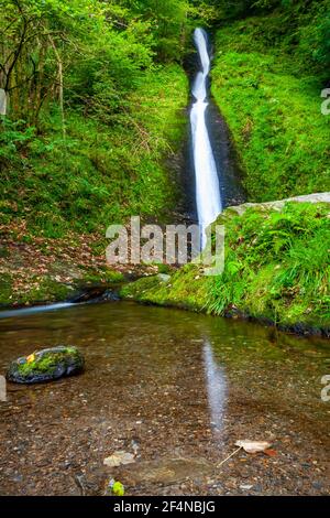 Whitelady oder White Lady Wasserfall in der Lydford Gorge in Devon England der höchste Wasserfall im Südwesten Englands, der vom River Burn fließt. Stockfoto