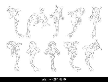 Koi Karpfen Bild ausmalen. Stock Vektor