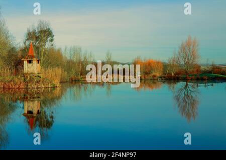 Bäume spiegeln sich im See des Lower Bruckland Farm Nature Reserve, Devon Stockfoto