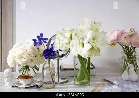 Weiße Rosen, rosa Ranunculus, blaue Anemonen, gelbliche Butterblumen, Lilien in runden Vasen auf dem Tisch für einen besonderen Anlass als Küchendekoration. Stockfoto