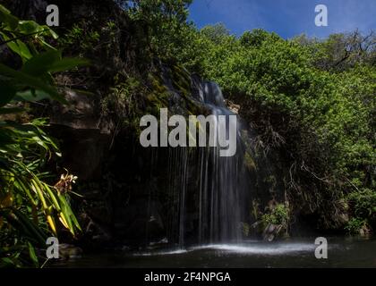 BIG ISLAND HAWAII 17-06-2014. Ein Wasserfall ist auf der großen Islan von Hawaii zu sehen. Foto: José Bula U. Stockfoto