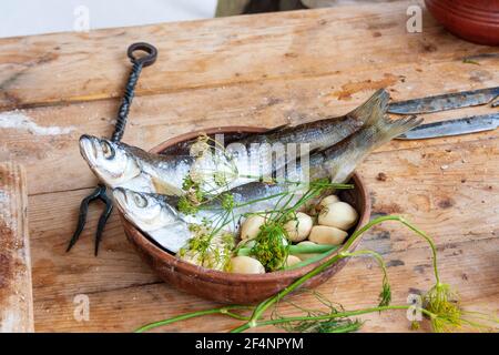 Fischhering in einem Tonbecher mit Gemüse und Dill Auf einem hölzernen Bauerntisch Stockfoto