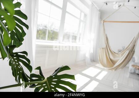 Stilvolles, trendiges Interieur im skandinavischen Stil. Großes Holzfenster sieht weiße Macrame Hängematte vor dem Hintergrund der grünen Monstera, Bett auf der Floo Stockfoto