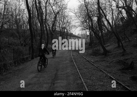 Eine Radtour durch den Wald Stockfoto