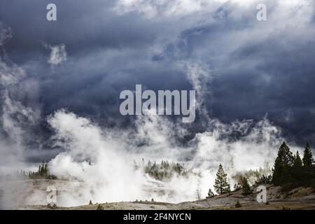 Norris Geyser Basin mit sich nähernden SturmwolkenYellowstone National Park Wyoming. USA LA006828 Stockfoto