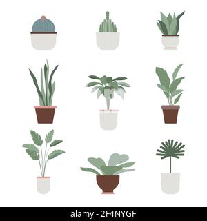 Startseite Pflanzen und Blumen Vektor-Icons in flachem Design tropische Pflanzen, Kakteen und Sukkulenten in verschiedenen Töpfen isoliert auf weißem Hintergrund Stock Vektor