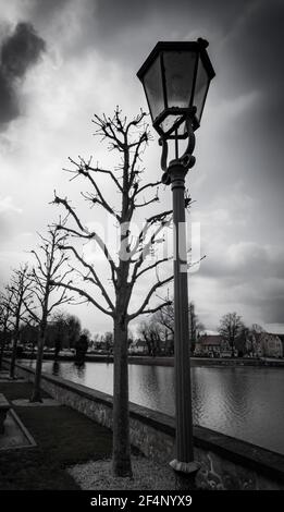 Vertikale Graustufenaufnahme einer Straßenlaterne und umliegender Bäume Ein See in einem Park Stockfoto