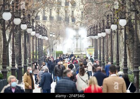 Viele Menschen mit Masken gehen durch die "Carrera de la Virgen" in Granada (Spanien), einem wunderschönen Park im Zentrum der Stadt, umgeben von Bäumen Stockfoto