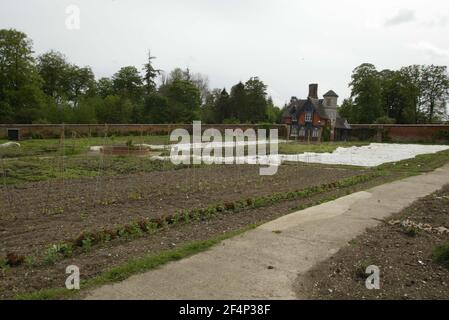 Jody Scheckter auf seiner Farm Laverstoke Park Farm in Hampshire PIC David Sandison Stockfoto