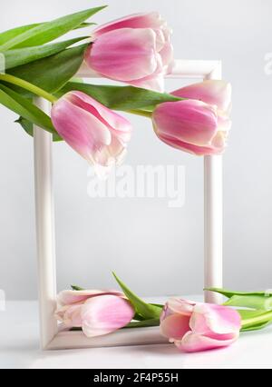 Frühlingsblumenlandschaft. Frühling blühende Frühlingsblumen. Blüht im Frühling. Tulpen. Rahmen. Copyspace Stockfoto