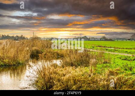 Sonnenuntergang Niederländische Landschaft Zaans Rietveld in Alphen aan den Rijn Mit grünen Wiesen und kleinem Naturschutzgebiet vor einem Hintergrund Mit dunkel und warm Stockfoto