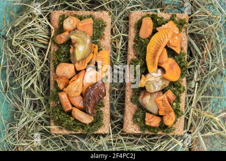 Gebratene Steinpilze und Pfifferlinge auf Roggencracker mit Grün Soße auf trockenem Heu über Ansicht serviert Stockfoto