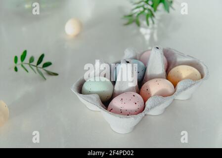 Osterfeiertagskonzept. Pastellfarben bemalte Eier in Pappkarton und mit kleinen frischen grünen Blättern auf weißem Hintergrund. Weiches natürliches Licht. Festlich Stockfoto